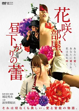 霸王别姬海报